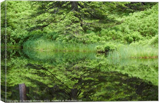 Reflections in a moor pond Canvas Print by Andreas Himmler