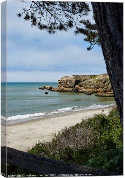 Cove Beach Ano Nuevo State Park Canvas Print by Andreas Himmler
