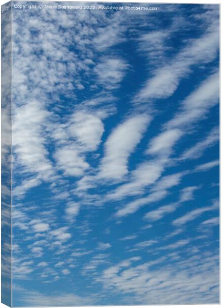 PATTERNS IN THE SKY Canvas Print by Irene Sosnowski