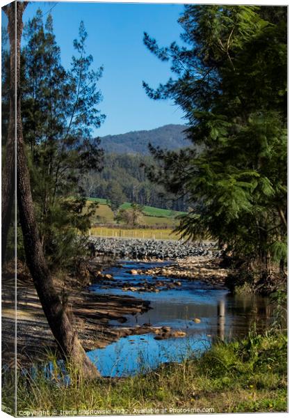 Rollands Plains Canvas Print by Irene Sosnowski