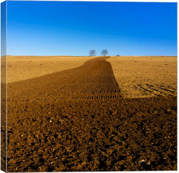 Plowed field  Canvas Print by Bernard Jaubert