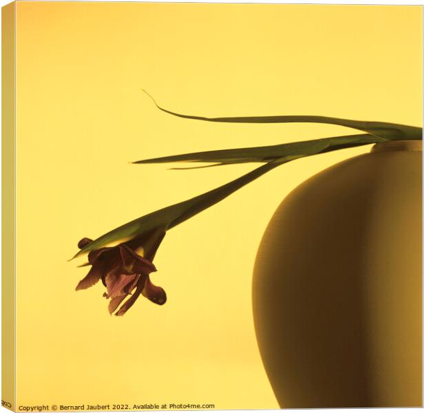 Flower in a vase Canvas Print by Bernard Jaubert