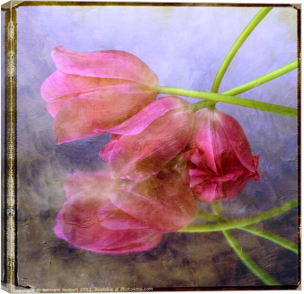 Pink tulips Canvas Print by Bernard Jaubert