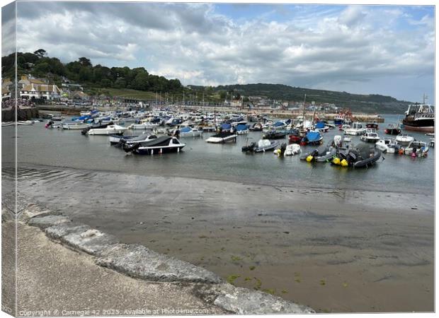 Lyme Regis Harbour Panorama Canvas Print by Carnegie 42