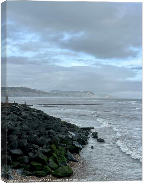 Rugged Coastal Beauty Unveiled Canvas Print by Carnegie 42