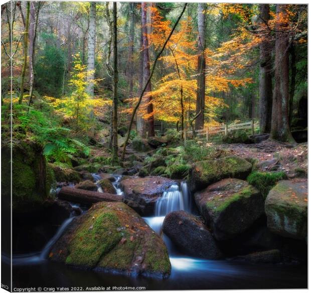 Autumn in Wyming Brook Nature Reserve. Canvas Print by Craig Yates