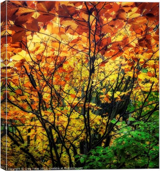 Colours Of Autumn Canvas Print by Craig Yates