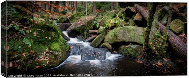 Autumn Wyming Brook Nature Reserve. Canvas Print by Craig Yates