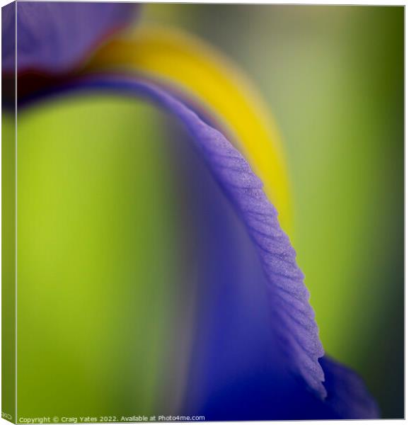 British Iris Flower Macro Abstract Canvas Print by Craig Yates