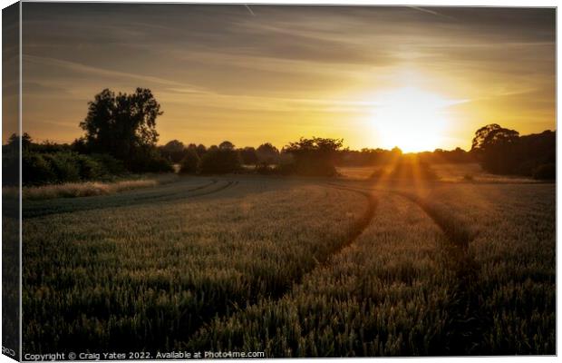 Field Of Wheat At Sunset. Canvas Print by Craig Yates
