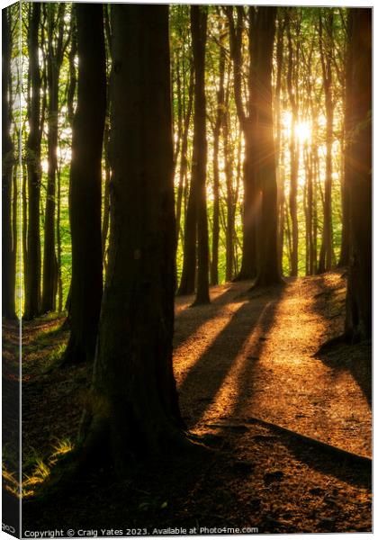 Woodland Sunrise at Linacre Reservoirs Peak District. Canvas Print by Craig Yates