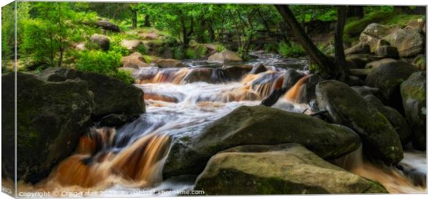 Padley Gorge Waterfall Rapids. Canvas Print by Craig Yates