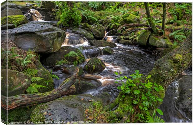 Padley Gorge Summer Waterfalls. Canvas Print by Craig Yates