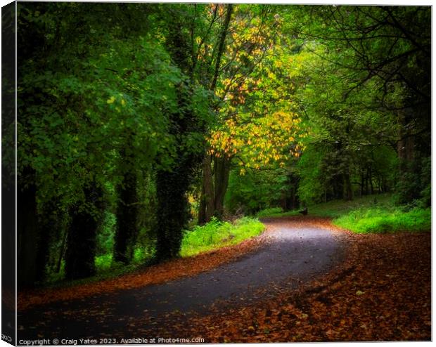 Along The Road to Autumn. Canvas Print by Craig Yates