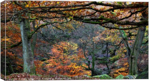 Autumn in Padley Gorge Peak District Canvas Print by Craig Yates