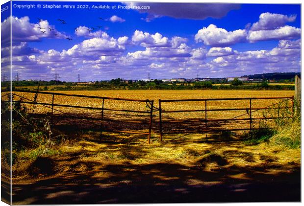 Field Gate View Canvas Print by Stephen Pimm