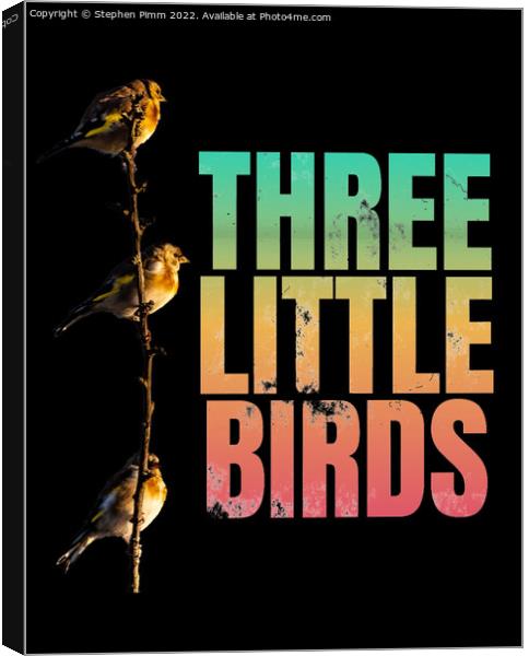 Three Little Birds Canvas Print by Stephen Pimm
