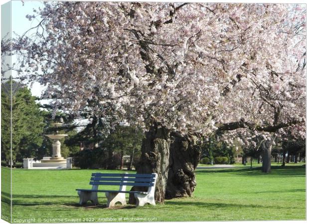 Kwanza Oriental Cherry Tree Canvas Print by Susanne Swayze