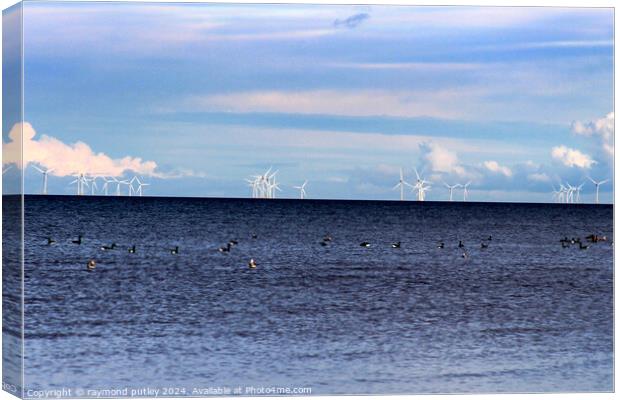 Minster-on-sea Wind farms  Canvas Print by Ray Putley