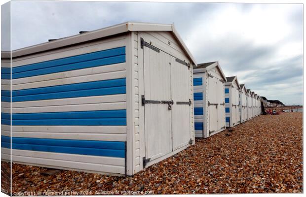 Hastings Seafront - Beach Huts Canvas Print by Ray Putley