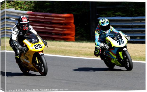 Honda British Talent Cup. Canvas Print by Ray Putley