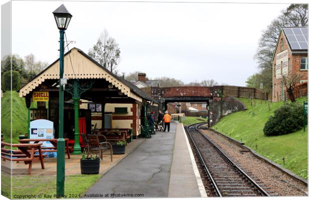 Spa Valley Railway Canvas Print by Ray Putley