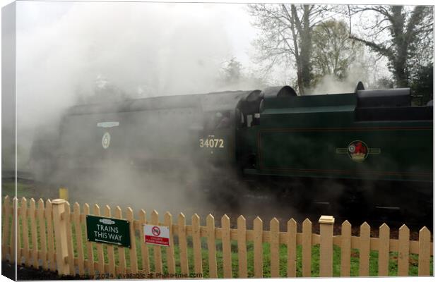 Spa Valley Railway Canvas Print by Ray Putley