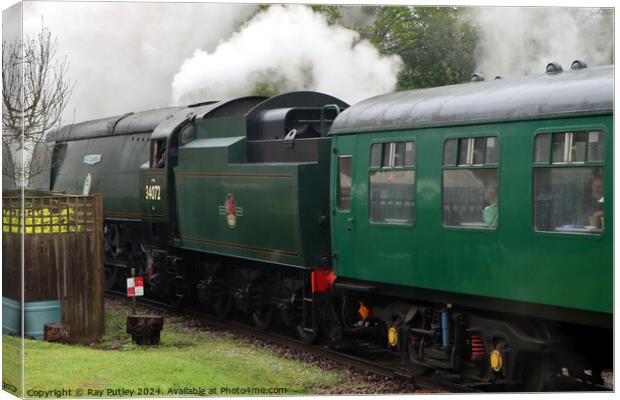 Spa Valley Railway Canvas Print by Ray Putley