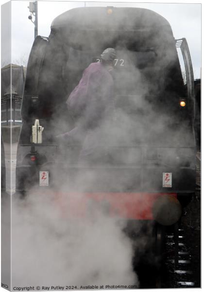 Spa Valley Railway Canvas Print by Ray Putley