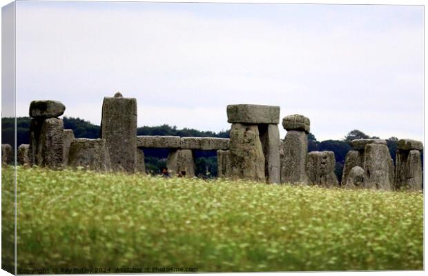 Stonehenge Canvas Print by Ray Putley