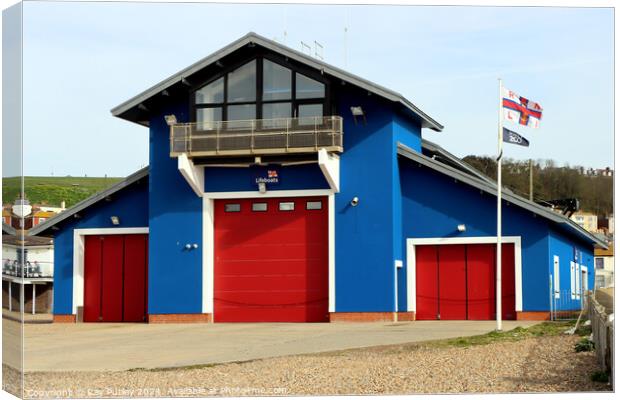 RNLI  - Hastings Canvas Print by Ray Putley