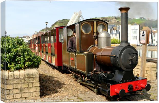 Steam Railway - Hastings Canvas Print by Ray Putley