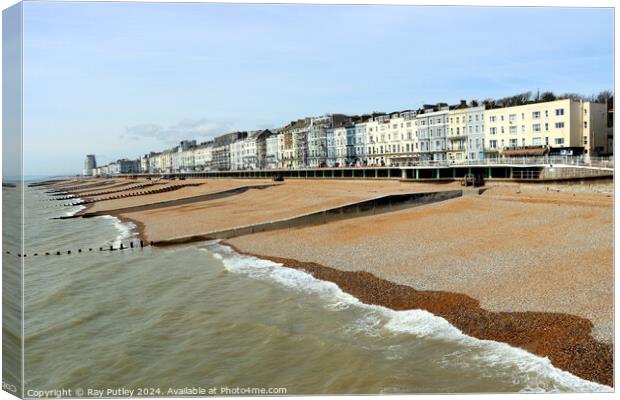 The Seafront  - Hastings Canvas Print by Ray Putley