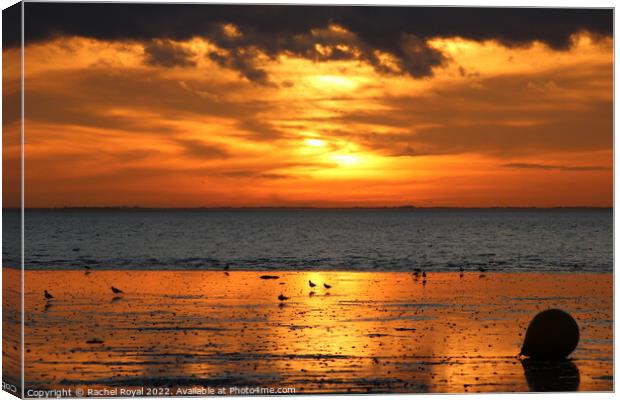 Heacham sunset Canvas Print by Rachel Royal