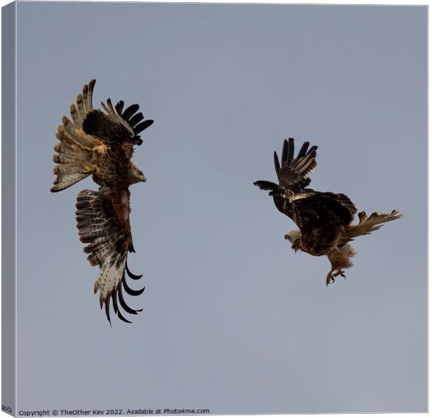 Red kites playing on a grey day Canvas Print by TheOther Kev