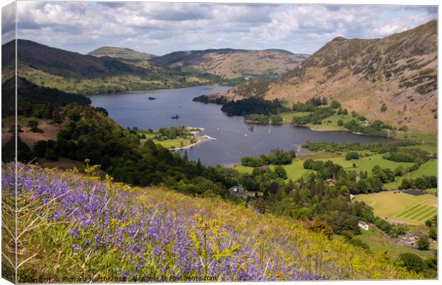 Bluebell Bliss on Ullswater Canvas Print by Richard North