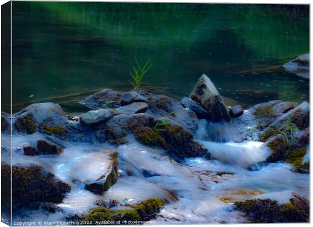 River Waters Trickling Over Stones Canvas Print by Maciej Czuchra