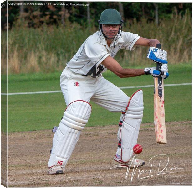 Cricket Batsman Canvas Print by Mark Dunn