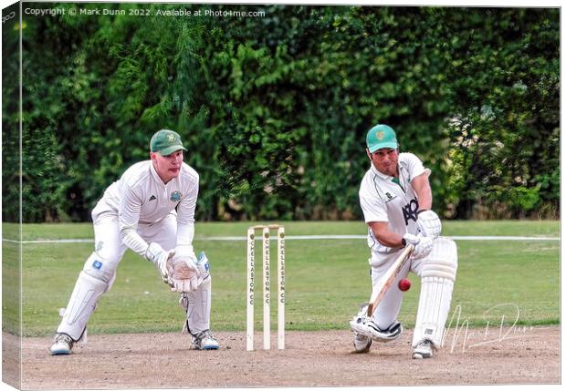 Cricket batsman  Canvas Print by Mark Dunn