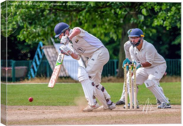 a cricket batsman  Canvas Print by Mark Dunn