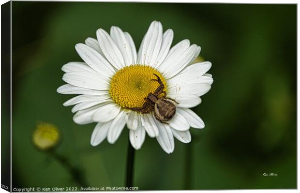 In Wait Canvas Print by Ken Oliver