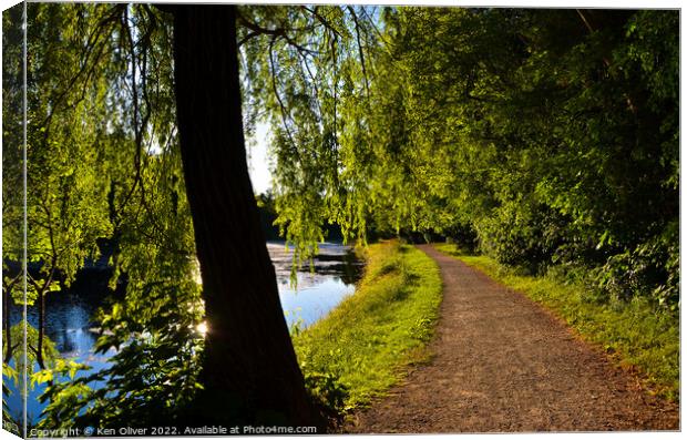 Serene Pathway: A Tranquil Journey through Jackson Canvas Print by Ken Oliver