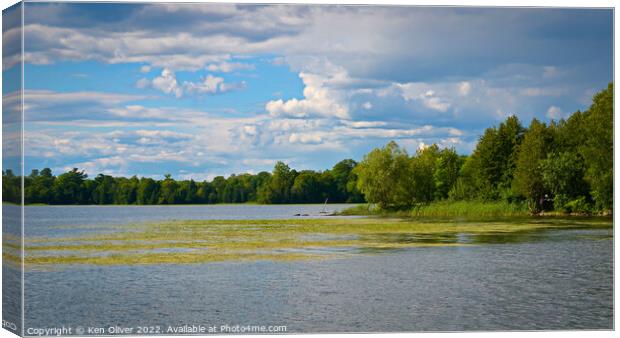 Outdoor waterside Canvas Print by Ken Oliver