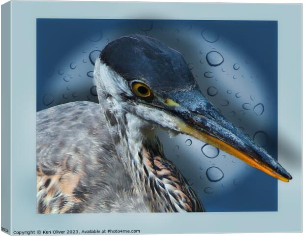 Blue Heron Canvas Print by Ken Oliver