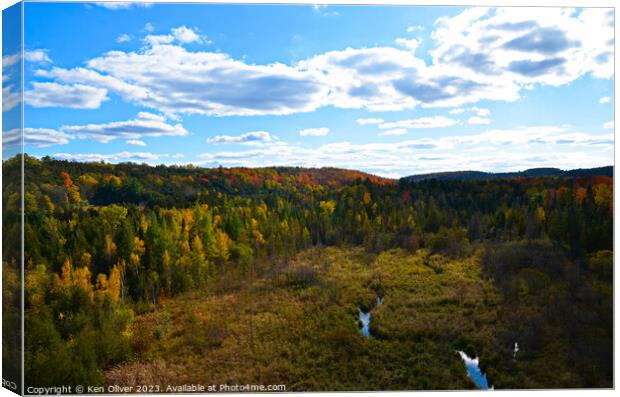 Autumn at Buttermilk Creek Canvas Print by Ken Oliver