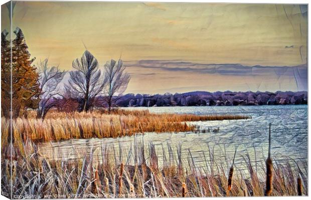 Lakeside Marsh Canvas Print by Ken Oliver