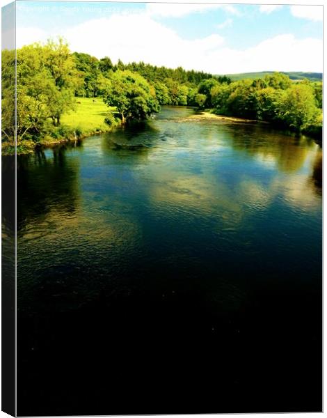 River Tay at Aberfeldy  Canvas Print by Sandy Young