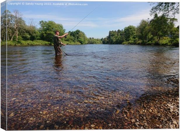 Tranquil Fly Fishing on River Tay Canvas Print by Sandy Young