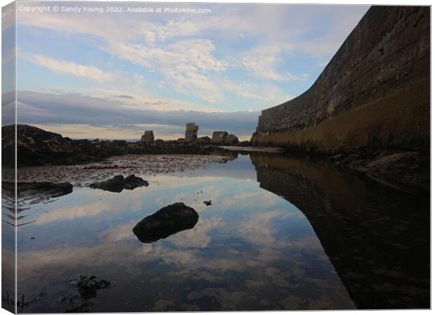 Sea wall Kirkcaldy  Canvas Print by Sandy Young