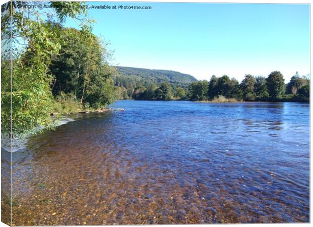 River Tay in sunshine Canvas Print by Sandy Young